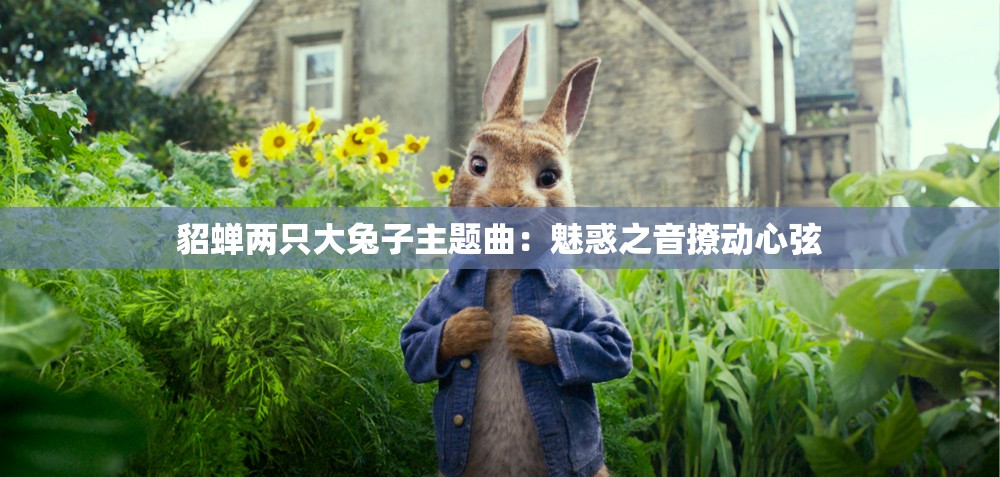貂蝉两只大兔子主题曲：魅惑之音撩动心弦
