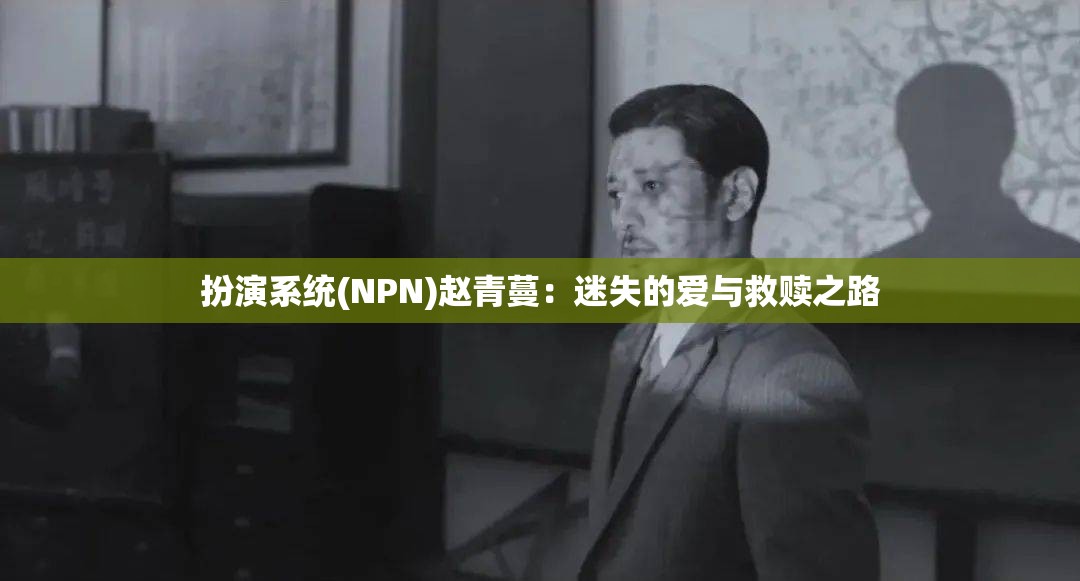 扮演系统(NPN)赵青蔓：迷失的爱与救赎之路