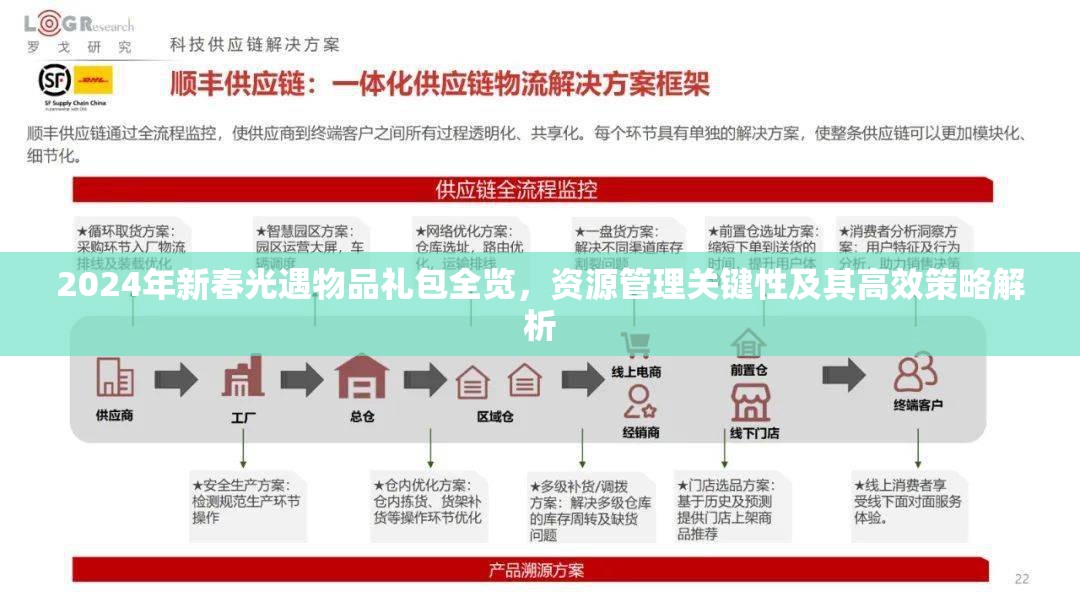 2024年新春光遇物品礼包全览，资源管理关键性及其高效策略解析