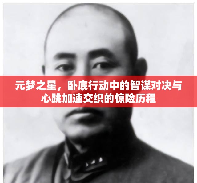 元梦之星，卧底行动中的智谋对决与心跳加速交织的惊险历程