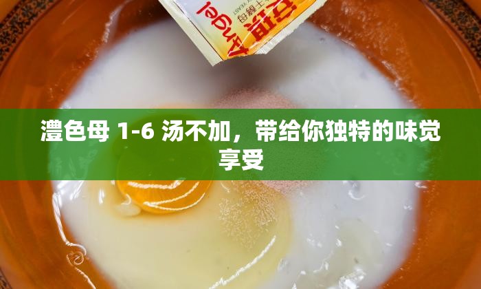 澧色母 1-6 汤不加，带给你独特的味觉享受