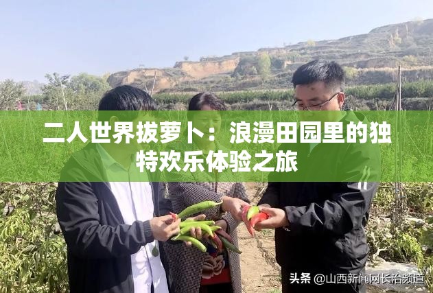 二人世界拔萝卜：浪漫田园里的独特欢乐体验之旅