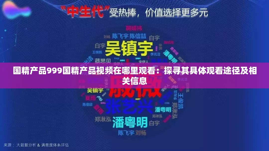 国精产品999国精产品视频在哪里观看：探寻其具体观看途径及相关信息