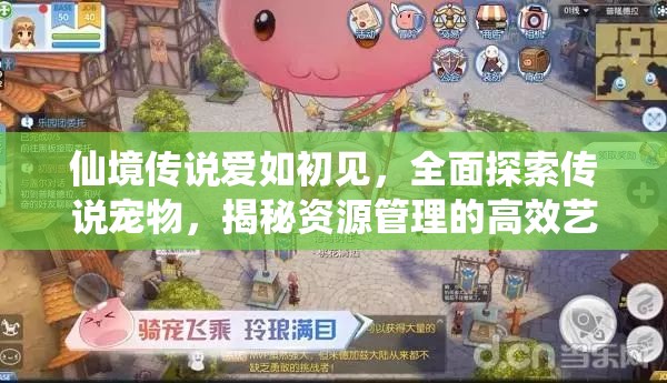 仙境传说爱如初见，全面探索传说宠物，揭秘资源管理的高效艺术
