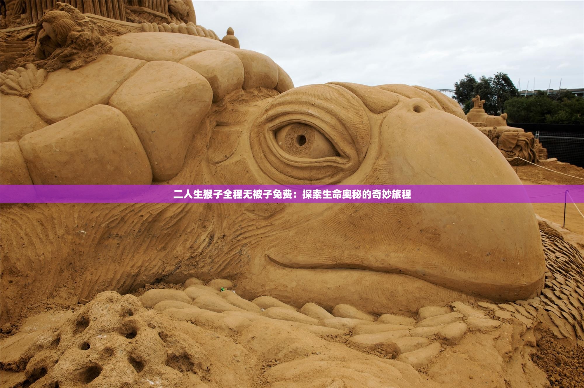 二人生猴子全程无被子免费：探索生命奥秘的奇妙旅程