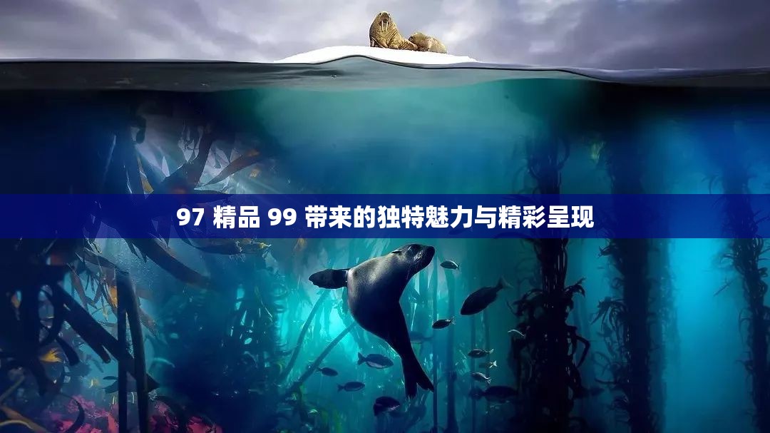 97 精品 99 带来的独特魅力与精彩呈现