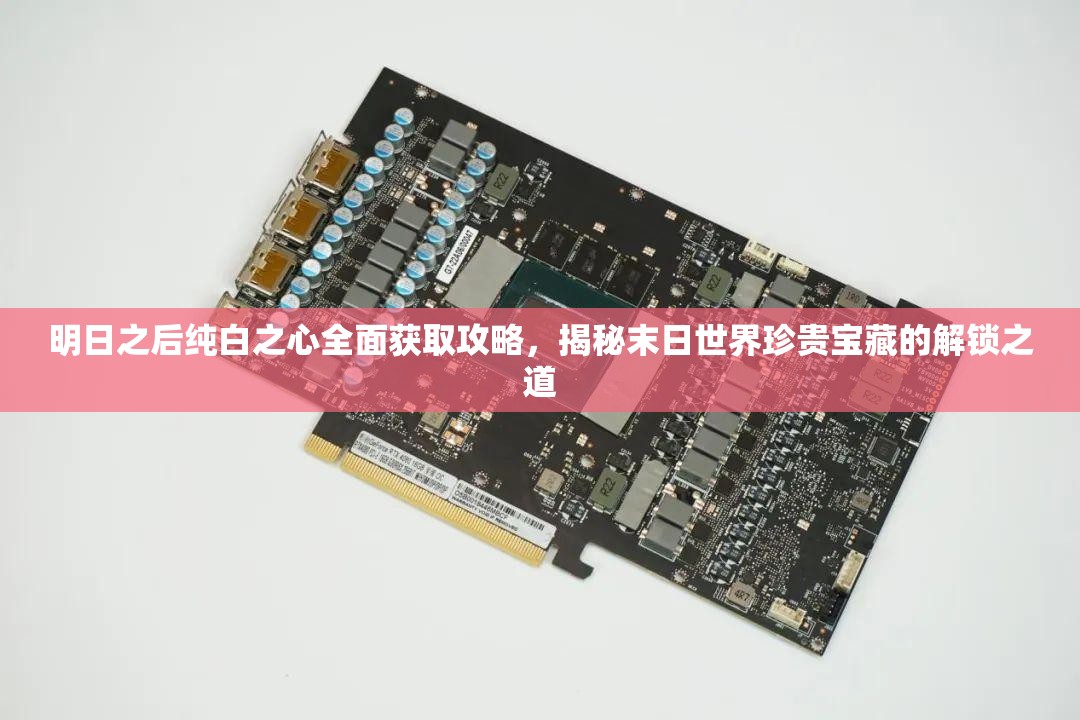 明日之后纯白之心全面获取攻略，揭秘末日世界珍贵宝藏的解锁之道