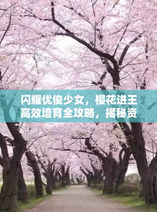 闪耀优俊少女，樱花进王高效培育全攻略，揭秘资源管理的高级艺术
