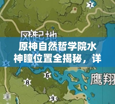 原神自然哲学院水神瞳位置全揭秘，详细攻略助你轻松收集