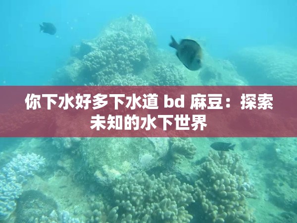 你下水好多下水道 bd 麻豆：探索未知的水下世界