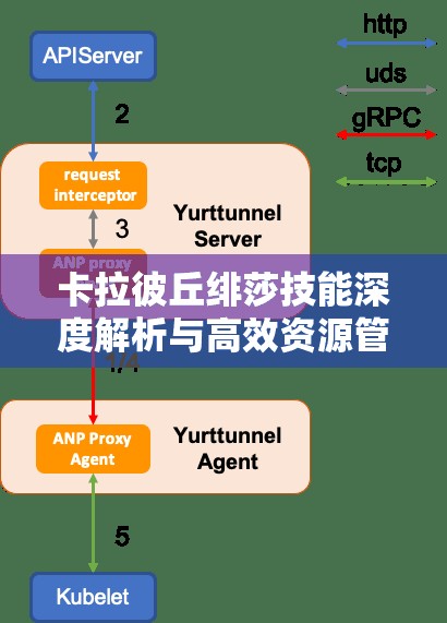 卡拉彼丘绯莎技能深度解析与高效资源管理策略玩法一览