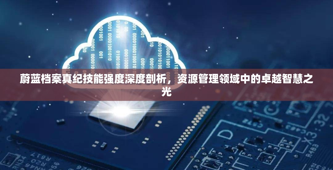 蔚蓝档案真纪技能强度深度剖析，资源管理领域中的卓越智慧之光