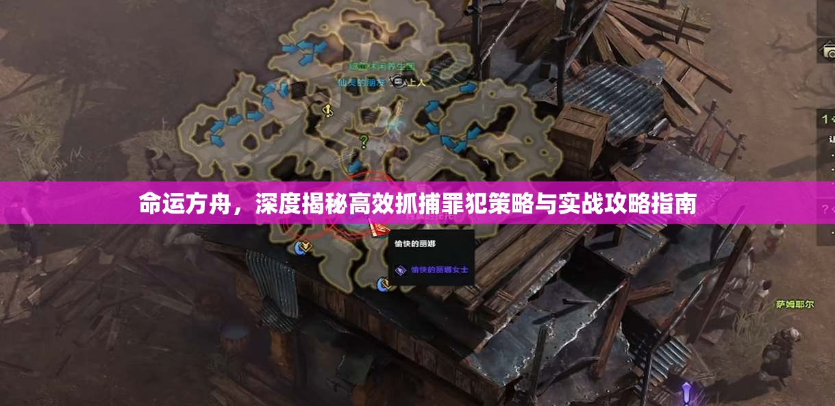 命运方舟，深度揭秘高效抓捕罪犯策略与实战攻略指南
