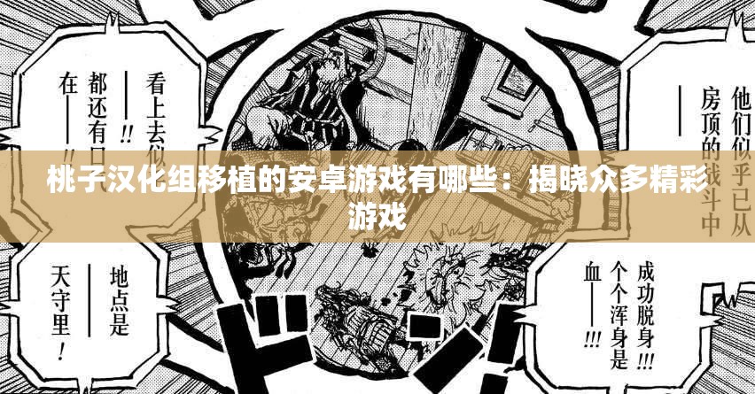 桃子汉化组移植的安卓游戏有哪些：揭晓众多精彩游戏