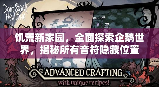 饥荒新家园，全面探索企鹅世界，揭秘所有音符隐藏位置