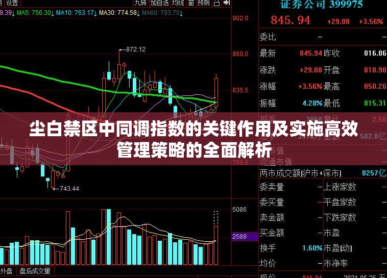 尘白禁区中同调指数的关键作用及实施高效管理策略的全面解析