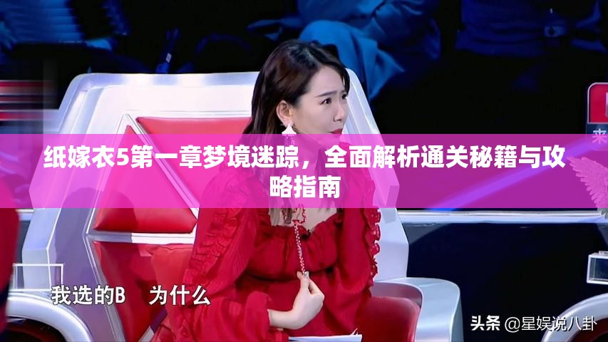 纸嫁衣5第一章梦境迷踪，全面解析通关秘籍与攻略指南
