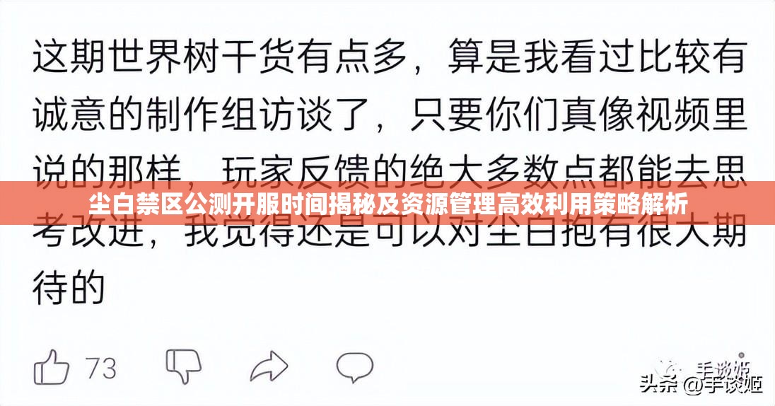 尘白禁区公测开服时间揭秘及资源管理高效利用策略解析