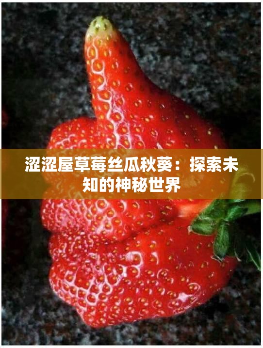 涩涩屋草莓丝瓜秋葵：探索未知的神秘世界