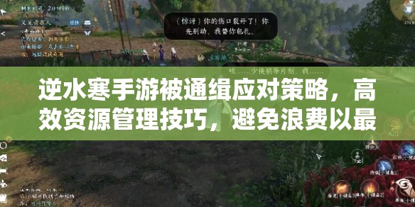 逆水寒手游被通缉应对策略，高效资源管理技巧，避免浪费以最大化生存与价值