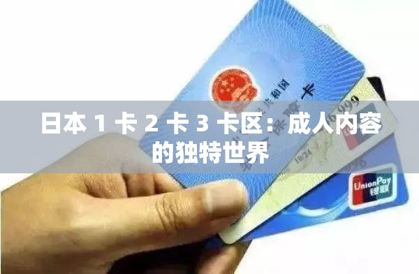 日本 1 卡 2 卡 3 卡区：成人内容的独特世界