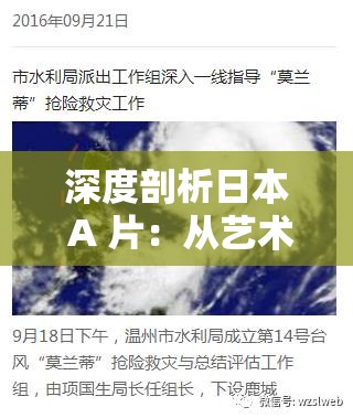 深度剖析日本 A 片：从艺术到文化的别样视角探讨