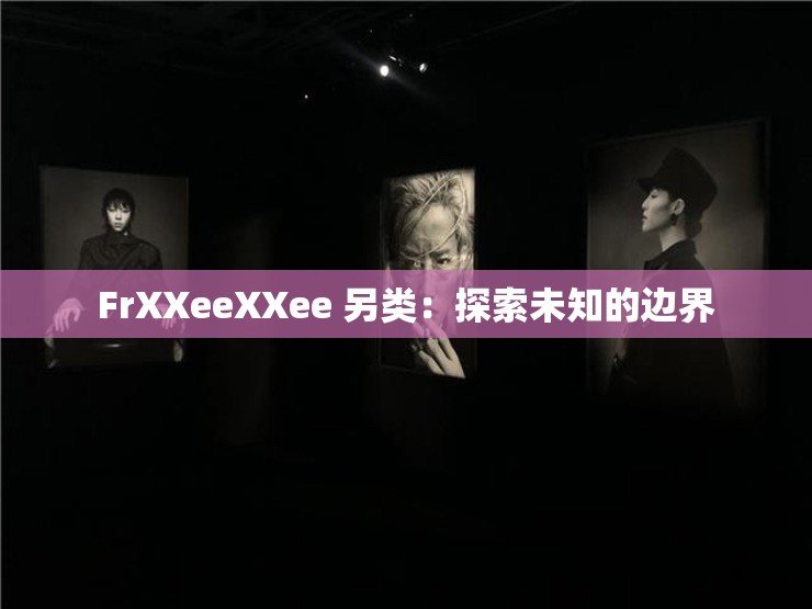 FrXXeeXXee 另类：探索未知的边界