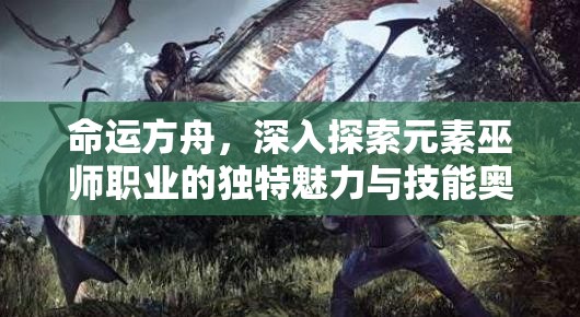命运方舟，深入探索元素巫师职业的独特魅力与技能奥秘之旅