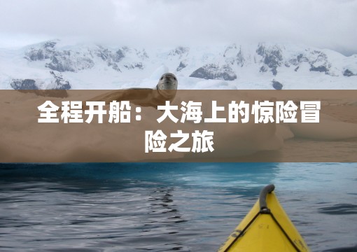全程开船：大海上的惊险冒险之旅