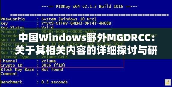 中国Windows野外MGDRCC：关于其相关内容的详细探讨与研究