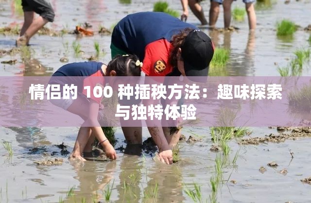 情侣的 100 种插秧方法：趣味探索与独特体验