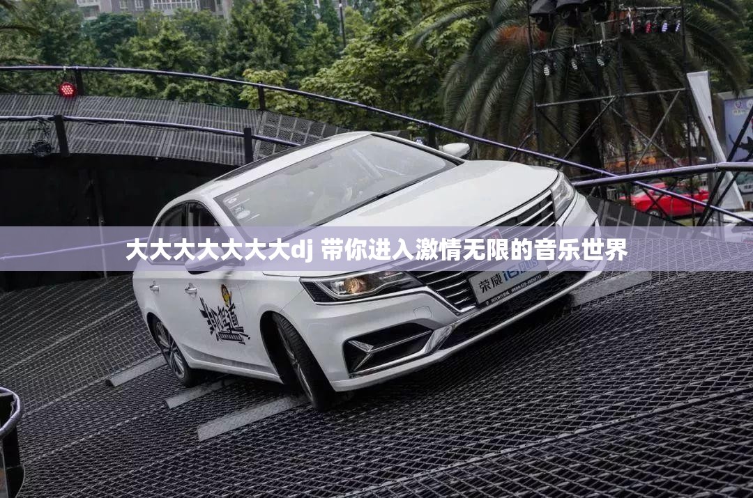大大大大大大大dj 带你进入激情无限的音乐世界