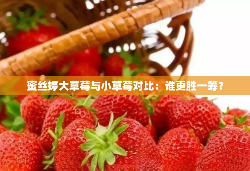 蜜丝婷大草莓与小草莓对比：谁更胜一筹？