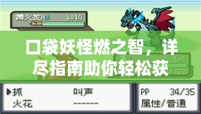 口袋妖怪燃之智，详尽指南助你轻松获得初始伙伴小火龙