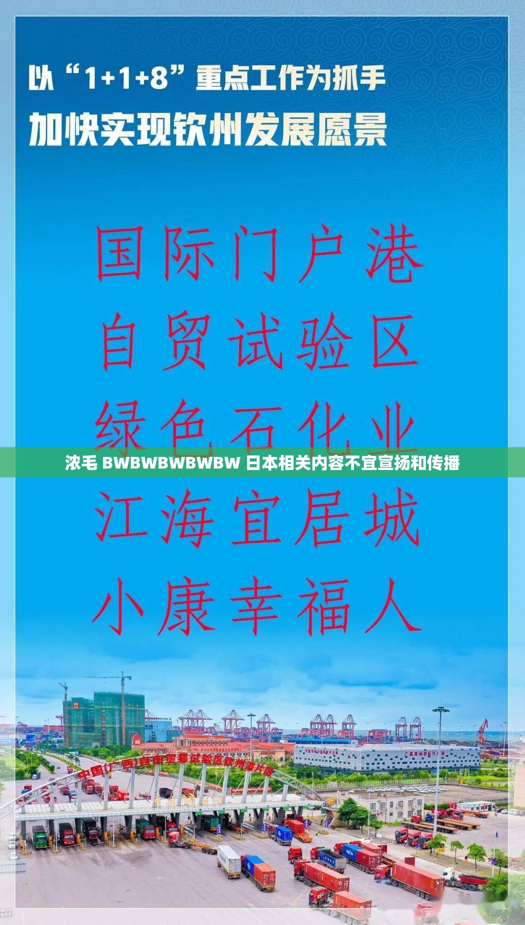 浓毛 BWBWBWBWBW 日本相关内容不宜宣扬和传播