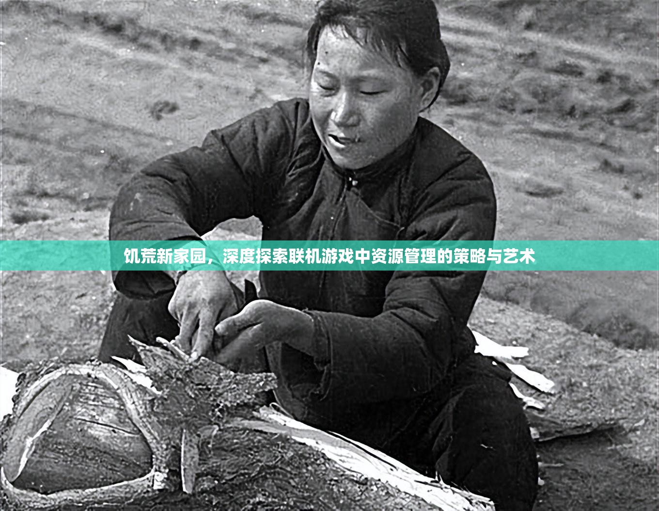 饥荒新家园，深度探索联机游戏中资源管理的策略与艺术