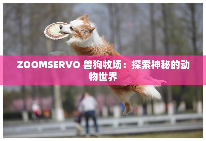 ZOOMSERVO 兽狗牧场：探索神秘的动物世界