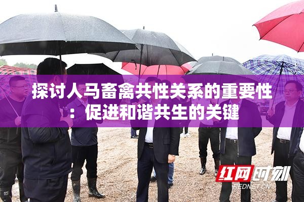 探讨人马畜禽共性关系的重要性：促进和谐共生的关键