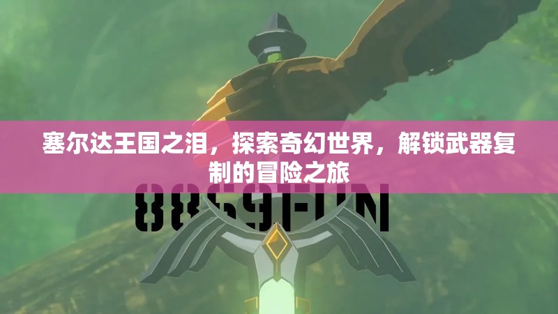 塞尔达王国之泪，探索奇幻世界，解锁武器复制的冒险之旅