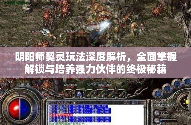 阴阳师契灵玩法深度解析，全面掌握解锁与培养强力伙伴的终极秘籍