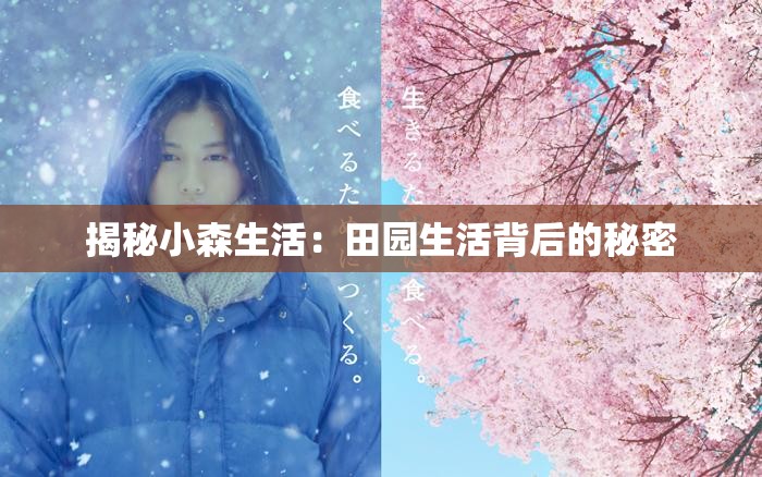 揭秘小森生活：田园生活背后的秘密