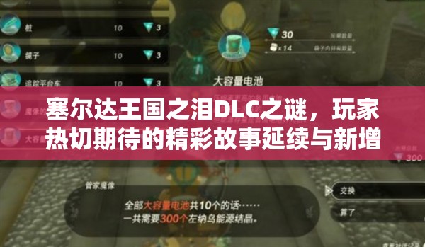 塞尔达王国之泪DLC之谜，玩家热切期待的精彩故事延续与新增内容