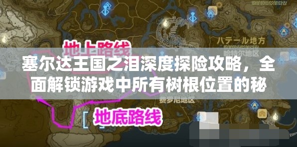 塞尔达王国之泪深度探险攻略，全面解锁游戏中所有树根位置的秘籍