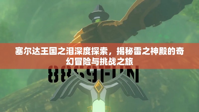 塞尔达王国之泪深度探索，揭秘雷之神殿的奇幻冒险与挑战之旅