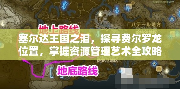 塞尔达王国之泪，探寻费尔罗龙位置，掌握资源管理艺术全攻略