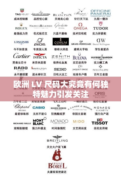 欧洲 LV 尺码大究竟有何独特魅力引发关注