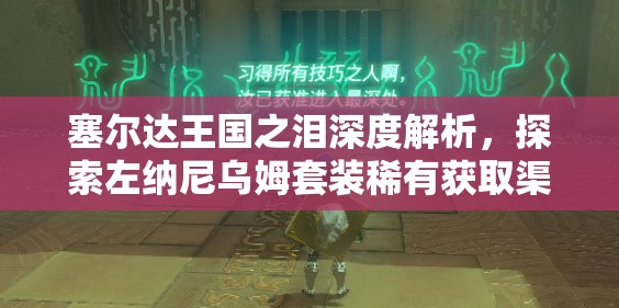 塞尔达王国之泪深度解析，探索左纳尼乌姆套装稀有获取渠道的奥秘