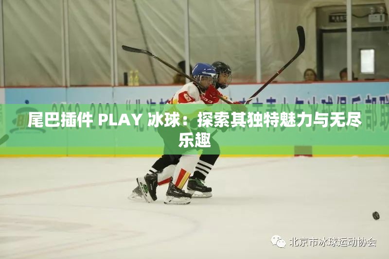 尾巴插件 PLAY 冰球：探索其独特魅力与无尽乐趣