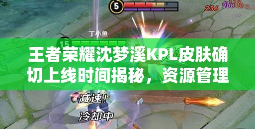 王者荣耀沈梦溪KPL皮肤确切上线时间揭秘，资源管理与价值最大化策略