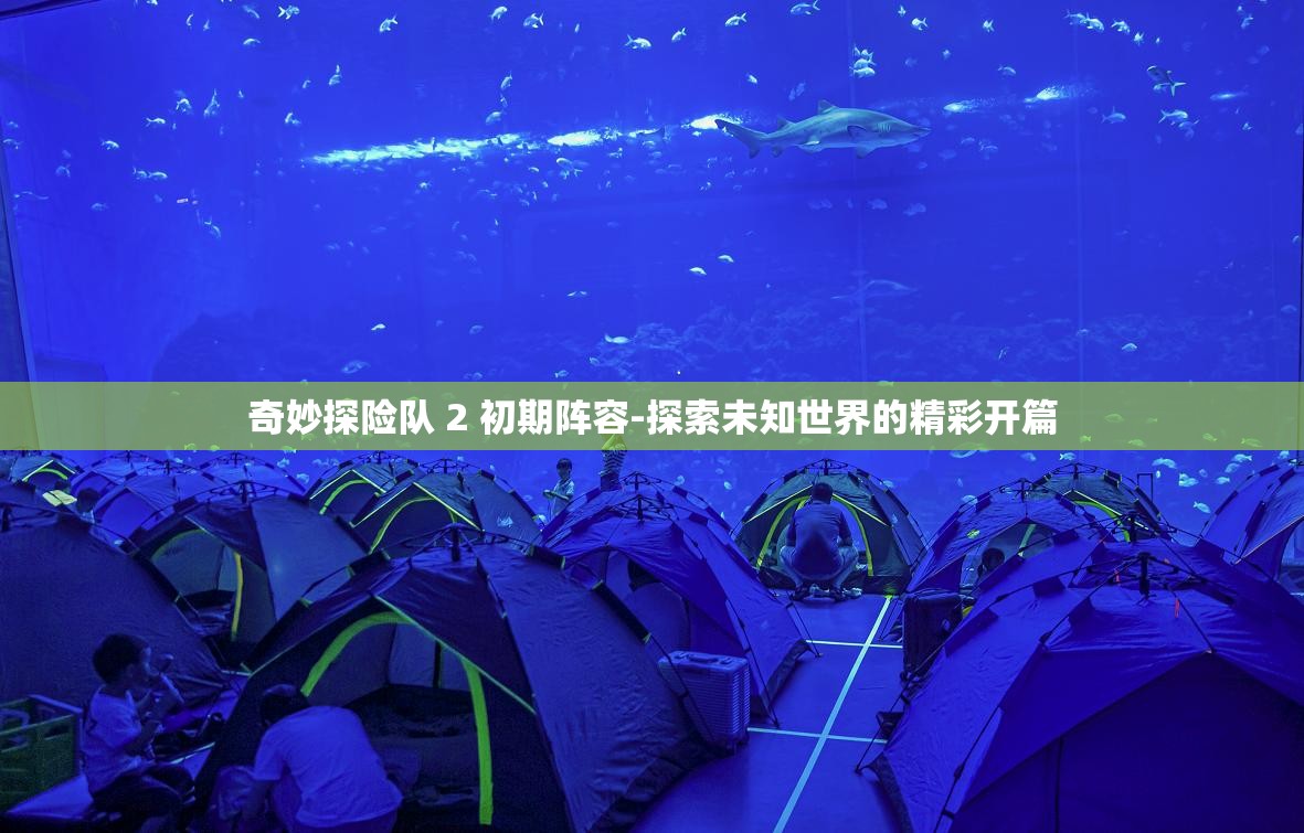 奇妙探险队 2 初期阵容-探索未知世界的精彩开篇